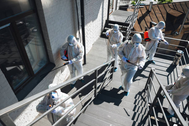 Best Mold Damage Restoration  in Norman Park, GA