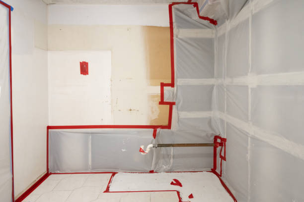 Reliable Norman Park, GA Mold Removal Solutions
