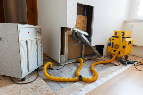 Best Mold Remediation for Healthcare Facilities  in Norman Park, GA